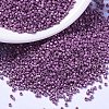 MIYUKI Delica Beads X-SEED-J020-DB1184-1
