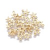 304 Stainless Steel Charms STAS-F159-48G-2