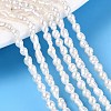 Natural Nucleated Pearl Beads Strands PEAR-N012-02O-01-1