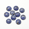 Natural Blue Spot Jasper Cabochons X-G-R416-8mm-45-1