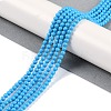 Synthetic Turquoise Beads Strands G-U004-02F-2