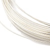 32.8 Foot 925 Sterling Silver Wire STER-D002-0.6mm-3