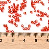 Glass Seed Beads SEED-S042-04B-10-4
