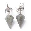 Natural Labradorite Pendants G-O194-02-2