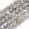 Natural Labradorite Beads Strands G-O166-08-6mm-1