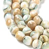 Natural Seashell Shell Beads Strands SH-CBAFEDD-01A-4