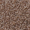 MIYUKI Delica Beads Small SEED-JP0008-DBS0102-3