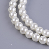 Eco-Friendly Dyed Glass Pearl Bead Strands X-HY-A008-6mm-RB002-3