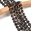 Natural Smoky Quartz Beads Strands G-F812-C04-01-1