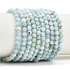 Natural Larimar Beads Strands G-B175-D08-4mm-2