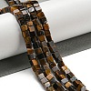 Natural Tiger Iron Beads Strands G-C129-A11-01-2