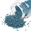 MIYUKI Delica Beads X-SEED-J020-DB2515-1