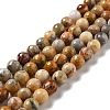 Natural Crazy Agate Beads Strands G-E571-36C-1