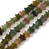 Natural Indian Agate Beads Strands G-G085-B11-02-1