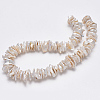 Natural Baroque Pearl Keshi Pearl Beads Strands PEAR-R065-01-4