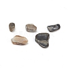 Natural Freshwater Shell Beads BSHE-I011-03A-2