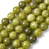 Natural Gemstone Beads Z0SRR012-2