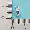 925 Sterling Silver Charms STER-G035-01E-03-3