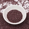 MIYUKI Delica Beads X-SEED-J020-DB1705-2