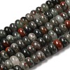Natural African Bloodstone Beads Strands G-A280-A06-02-2