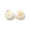 Natural Freshwater Shell Beads BSHE-E026-01-2