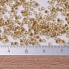MIYUKI Delica Beads SEED-X0054-DB0901-4