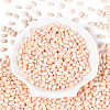 Baking Paint Glass Seed Beads SEED-T007-15C-1