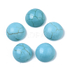 Synthetic Turquoise Cabochons TURQ-S291-03B-01-2