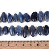 Natural Blue Aventurine Beads Strands G-Z091-A43-5