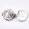 Freshwater Shell Beads LS-X-SSHEL-T005-11-3