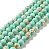 Synthetic Turquoise and Sea Shell Assembled Beads Strands G-D482-01D-08-2