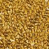 FGB Transparent Glass Seed Beads SEED-N013-01A-08-3