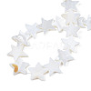 Natural Freshwater Shell Beads Strands SHEL-S278-01D-01-4