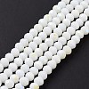 Electroplate Opaque Solid Color Glass Beads Strands EGLA-A034-P2mm-L17-2