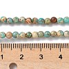 Dyed Natural Regalite/Imperial Jasper/Sea Sediment Jasper Beads Strands G-B124-C05-06-2