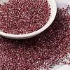 6/0 Transparent Glass Seed Beads SEED-F003-03A-03-1