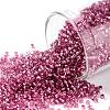 TOHO Round Seed Beads X-SEED-TR15-2218-1