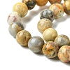 Natural Crazy Lace Agate Round Bead Strands G-M272-03-10mm-5