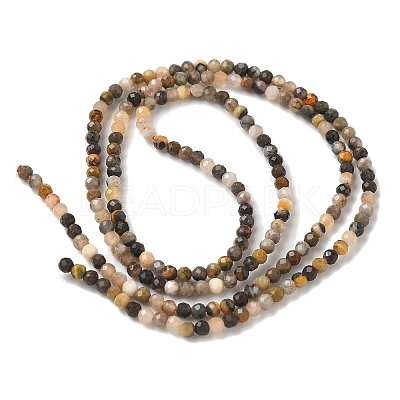 Natural Bumblebee Jasper Beads Strands G-D306-A08-2mm-1