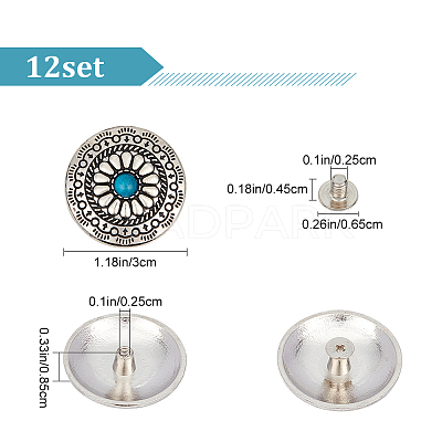 12 Sets Alloy & Imitation Turquoise Craft Solid Screw Rivet FIND-GF0004-24-1