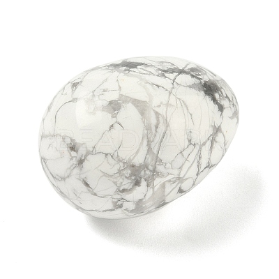 Natural Howlite Egg Shape Display Decorations G-Z094-01F-1