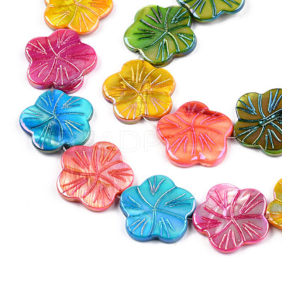 Natural Freshwater Shell Beads Strands SHEL-N026-221A-1
