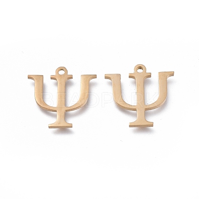 304 Stainless Steel Charms STAS-K215-11G-1