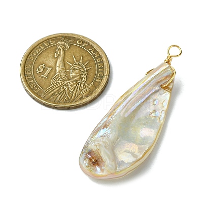 Electroplated Natural Freshwater Shell Pendants PALLOY-JF03336-1