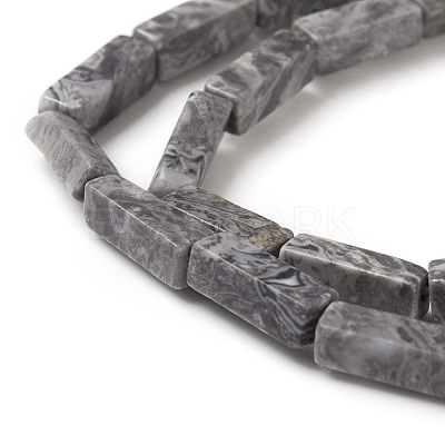 Natural Map Stone/Picasso Stone/Picasso Jasper Beads Strands G-G837-05-1