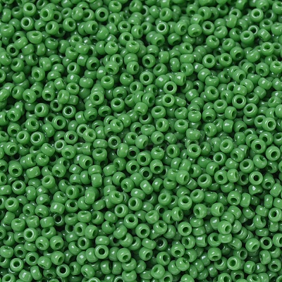 MIYUKI Round Rocailles Beads SEED-G007-RR0411-1