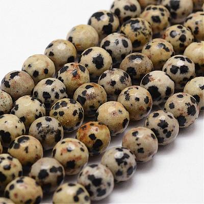 Natural Dalmatian Jasper Beads Strands G-D840-49-8mm-1