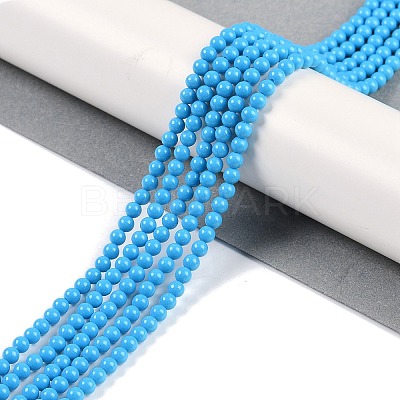 Synthetic Turquoise Beads Strands G-U004-02F-1