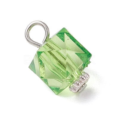 Transparent Acrylic Pendants PALLOY-JF04258-02-1