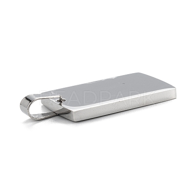 Tarnish Resistant 304 Stainless Steel Pendants STAS-F272-02P-1